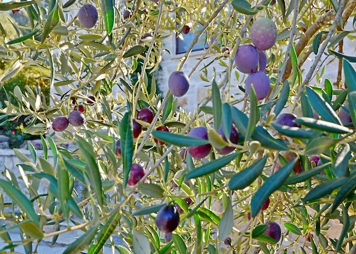 Semesterbostad House Nikica Korčula